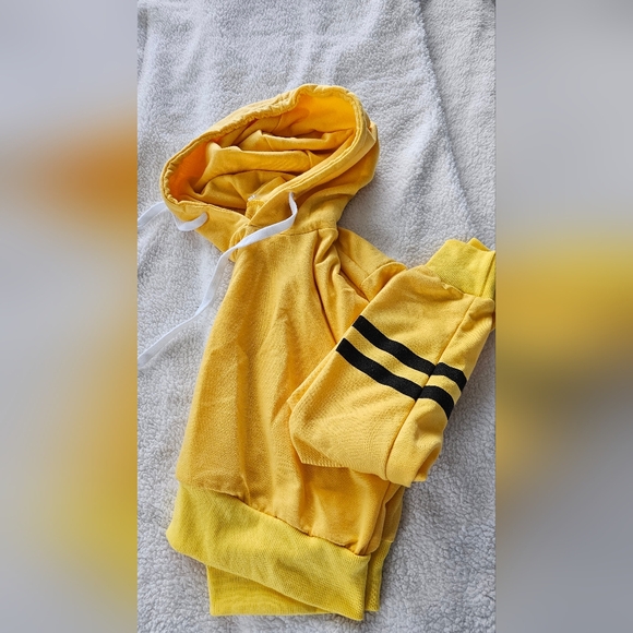 Hoodie Crop Sweater - Picture 2 of 3
